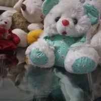 عروسک نو و در حدنو