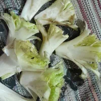 چمور پاک شده و کنگر شسته شده