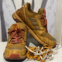 زدیکس ۸۰۰۰ اند|کیف، کفش، کمربند|ساری, |دیوار