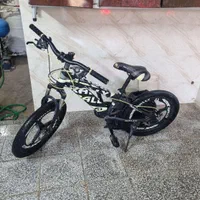 دوعدد دوچرخه