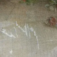 تابلوفرش دستبافت|تابلو فرش|مشهد, امیر|دیوار