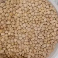 نخود درجه یک منطقه سنقر
