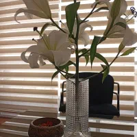 با ثبت شرکت به رویاهات برس