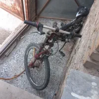 دوچرخه حرفه ای کوهستانی دنده ای ۲۴