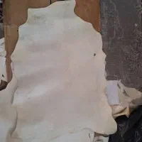 پوست آهو برای نوشتن حرز امام جواد دعا و آیات قرآنی|لوازم التحریر|کازرون, |دیوار