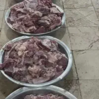 آشپزی منازل مراسمات شادی و ختم