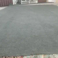 موکت|موکت|کرمانشاه, |دیوار