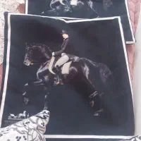 تعدادی وسایل  منزل