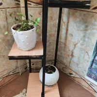 جای گلدان استند گلدان|صنایع دستی و سایر لوازم تزئینی|زابل, |دیوار