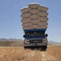 کاه برای اطراف کرج میارم