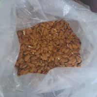 مغز بادام درختی|خوردنی و آشامیدنی|هشتگرد, فاز ۳ مهستان|دیوار