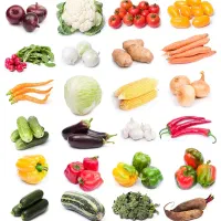 سورتینگ محصولات کشاورزی صادراتی و داخلی