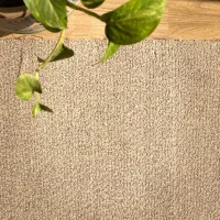 موکت نو -رنگ کرم-متری ۴۰۰ تومان