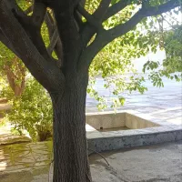 فروش-ویلایی-در-استان-همدان