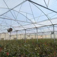 استخدام کارگر گلخانه با سکونت