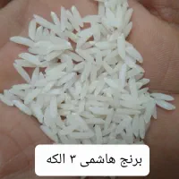فروش برنج ایرانی شمال امسال اصل