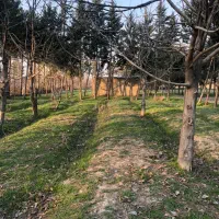 فروش باغ ویلا فیروزبهرام ۲۴۰۰ متر|فروش زمین و ملک کلنگی|چهاردانگه (تهران), |دیوار