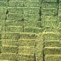 یونجه درجه یک