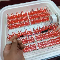 دستگاه جوجه کشی|لوازم جانبی حیوانات|میلاجرد, |دیوار