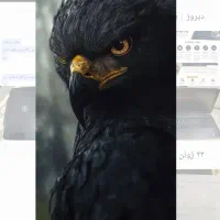 ماشین