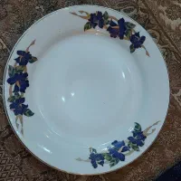 بشقاب پلو خوری ۱۲ عدد