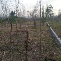 زمین مسکونی