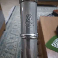 فلوت کلیدی|سازهای بادی|فردیس, نسترن غربی|دیوار