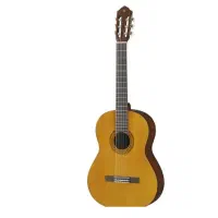 گیتار با کیف