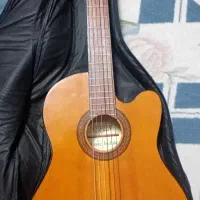 گیتار اسپین ژاپن