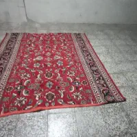 کناره|فرش|شاهرود, |دیوار