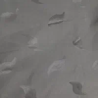 پارچه چادر . روز مادر .|لباس|کرمانشاه, |دیوار