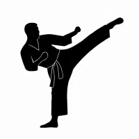 اموزش مبارزات ازاد رینگی و ترکیبی