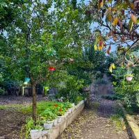 اجاره روزانه ویلا باغ رشت|اجارهٔ کوتاهمدت ویلا و باغ|رشت, شهرک صبا|دیوار