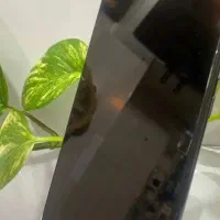 گوشیpocom3 درحد نو|موبایل|قزوین, |دیوار