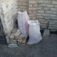 چندتا رنگه ماده|پرنده|تربت‌حیدریه, اندیشه|دیوار