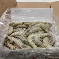 میگو باسر پرورشی|عمده‌فروشی|تهران, حر|دیوار