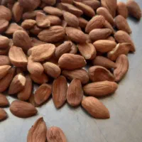 انواع بادام سنگی و مغز بادام ایرانی|عمده‌فروشی|قم, ارم|دیوار