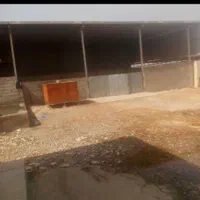 فروش یامعاوضه دامداری۲۵۰۰متری|فروش دفتر صنعتی، کشاورزی، تجاری|دزفول, |دیوار