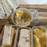 عسل طبیعی و درمانی مستقیم از زنبوردار با ضمانت