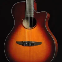 گیتار یاماها NTX1 آکبند