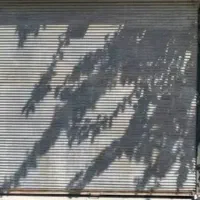 اجاره مغازه شریف آباد