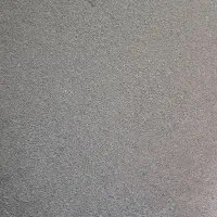 گندم پیش گام