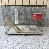 قفس