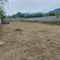 زمین مسکونی ( ویلایی )|فروش زمین و ملک کلنگی|چالوس, |دیوار