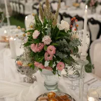 تشریفات مجالس شب رویایی|خدمات پذیرایی، مراسم|شیراز, دکتر حسابی|دیوار