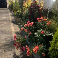 باغ ویلای تمیز اول جاده سنتو گاز روشن
