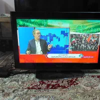 تلویزیون
