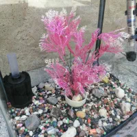 آکواریوم شرکتیJEBO|ماهی|تبریز, |دیوار