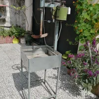 دستگاه تخمه پز|ماشینآلات صنعتی|آستارا, |دیوار