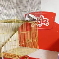 قفس پرنده|لوازم جانبی حیوانات|پاکدشت, شهرک امام رضا|دیوار